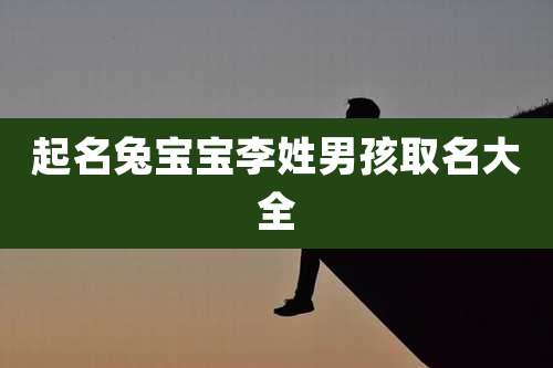 起名兔宝宝李姓男孩取名大全