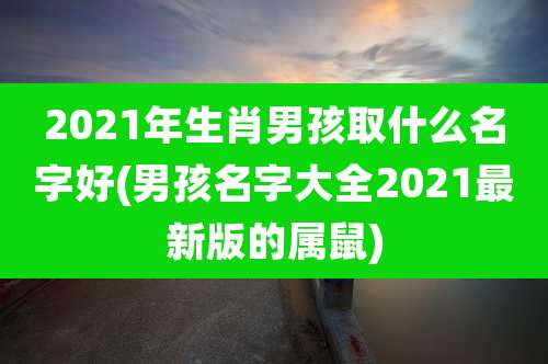 2021年生肖男孩取什么名字好(男孩名字大全2021最新版的属鼠)