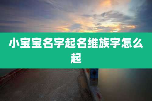 小宝宝名字起名维族字怎么起