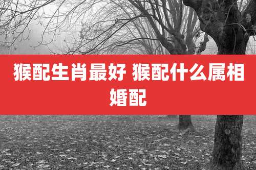 猴配生肖最好 猴配什么属相婚配