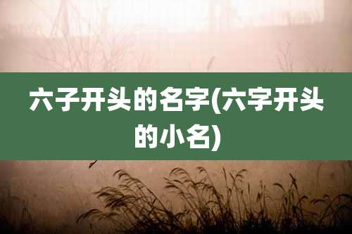 六子开头的名字(六字开头的小名)