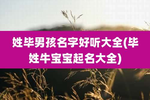 姓毕男孩名字好听大全(毕姓牛宝宝起名大全)