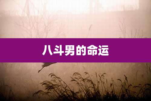 八斗男的命运