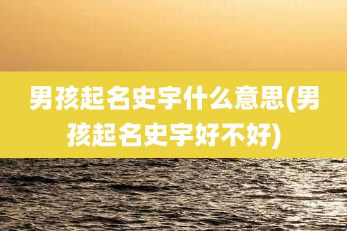 男孩起名史宇什么意思(男孩起名史宇好不好)