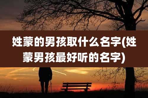 姓蒙的男孩取什么名字(姓蒙男孩最好听的名字)