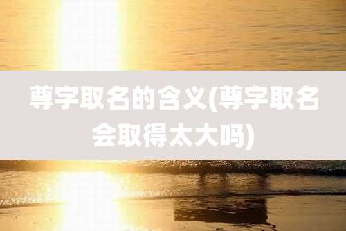 尊字取名的含义(尊字取名会取得太大吗)