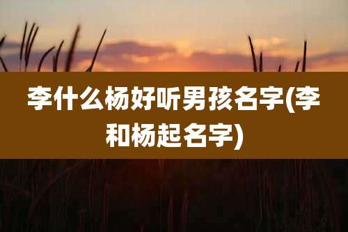 李什么杨好听男孩名字(李和杨起名字)