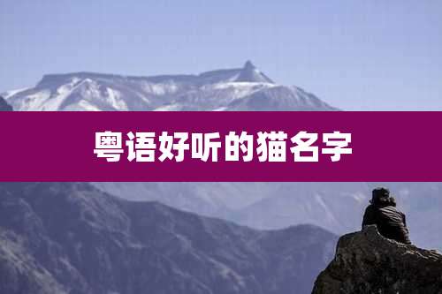粤语好听的猫名字
