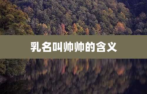 乳名叫帅帅的含义