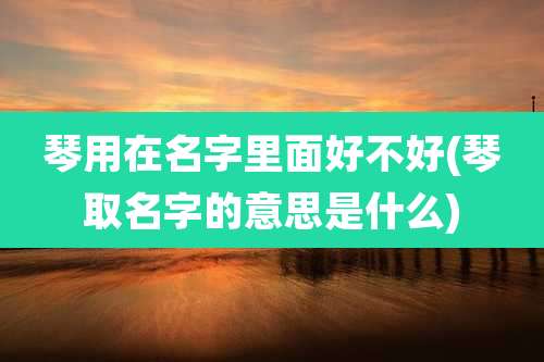 琴用在名字里面好不好(琴取名字的意思是什么)
