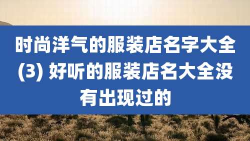 时尚洋气的服装店名字大全(3) 好听的服装店名大全没有出现过的