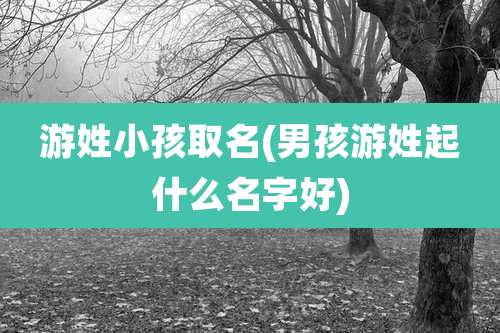 游姓小孩取名(男孩游姓起什么名字好)