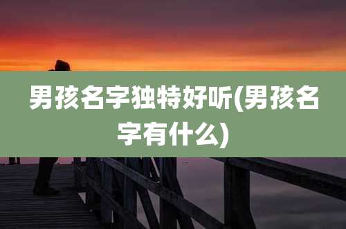 男孩名字独特好听(男孩名字有什么)