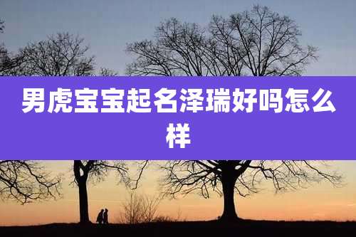 男虎宝宝起名泽瑞好吗怎么样