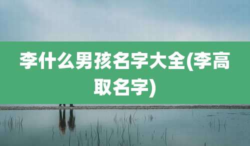 李什么男孩名字大全(李高取名字)