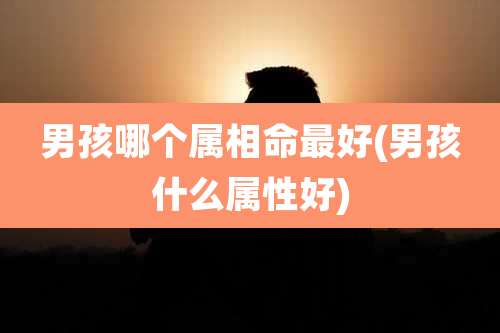 男孩哪个属相命最好(男孩什么属性好)