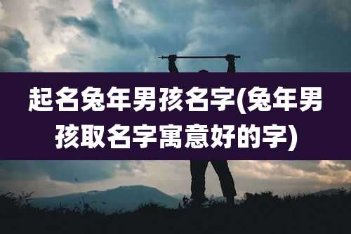 起名兔年男孩名字(兔年男孩取名字寓意好的字)