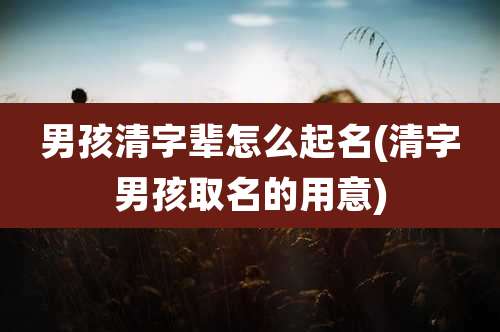 男孩清字辈怎么起名(清字男孩取名的用意)