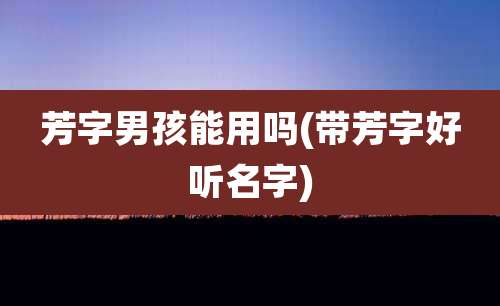 芳字男孩能用吗(带芳字好听名字)