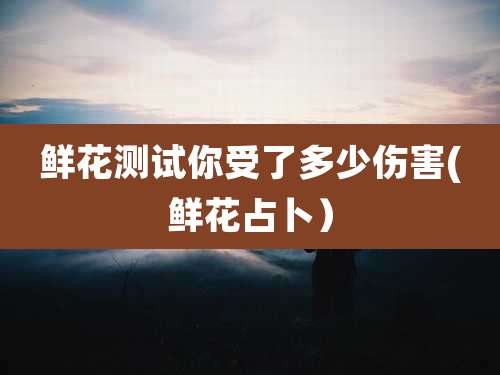 鲜花测试你受了多少伤害(鲜花占卜）