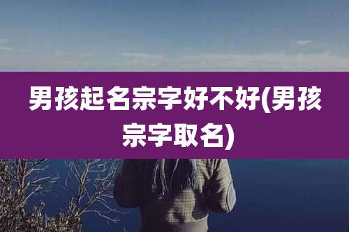 男孩起名宗字好不好(男孩 宗字取名)