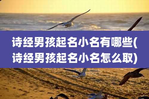 诗经男孩起名小名有哪些(诗经男孩起名小名怎么取)