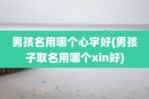 男孩名用哪个心字好(男孩子取名用哪个xin好)