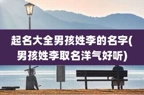 起名大全男孩姓李的名字(男孩姓李取名洋气好听)