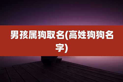 男孩属狗取名(高姓狗狗名字)