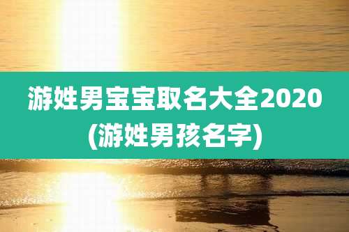 游姓男宝宝取名大全2020(游姓男孩名字)