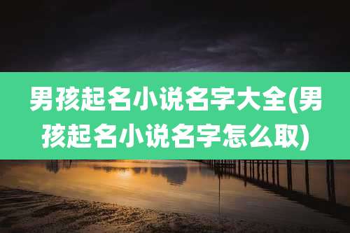 男孩起名小说名字大全(男孩起名小说名字怎么取)