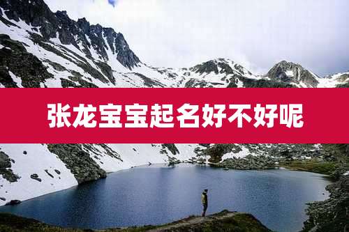 张龙宝宝起名好不好呢