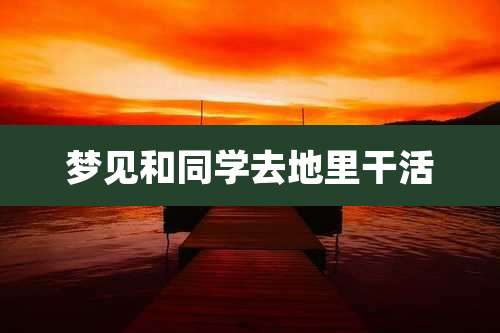 梦见和同学去地里干活