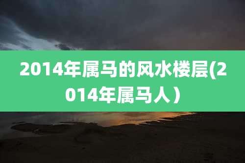 2014年属马的风水楼层(2014年属马人）
