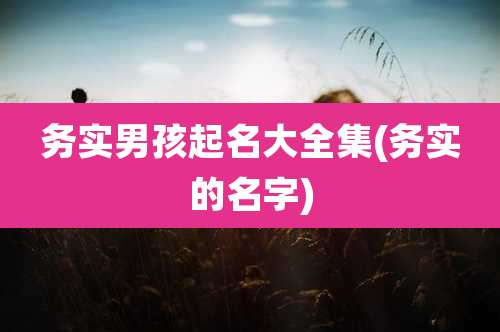 务实男孩起名大全集(务实的名字)