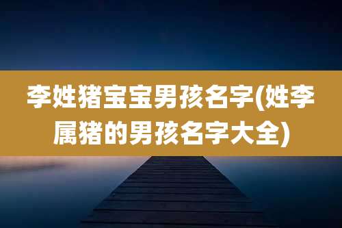 李姓猪宝宝男孩名字(姓李属猪的男孩名字大全)