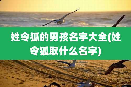 姓令狐的男孩名字大全(姓令狐取什么名字)