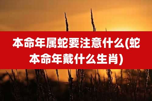 本命年属蛇要注意什么(蛇本命年戴什么生肖)