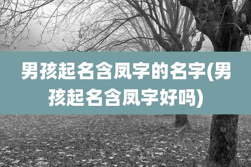 男孩起名含凤字的名字(男孩起名含凤字好吗)