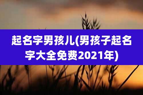 起名字男孩儿(男孩子起名字大全免费2021年)