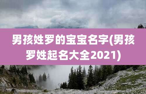 男孩姓罗的宝宝名字(男孩罗姓起名大全2021)