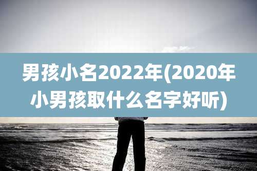 男孩小名2022年(2020年小男孩取什么名字好听)