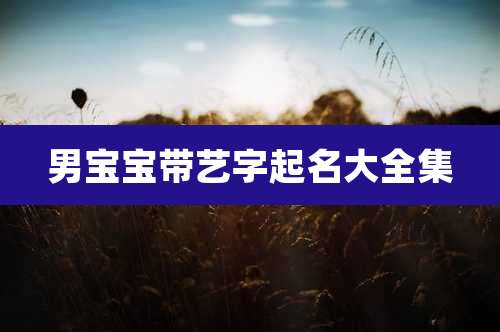 男宝宝带艺字起名大全集