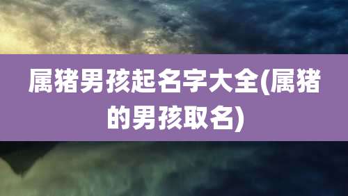 属猪男孩起名字大全(属猪的男孩取名)