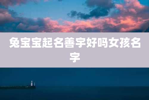 兔宝宝起名善宇好吗女孩名字