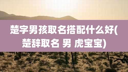 楚字男孩取名搭配什么好(楚辞取名 男 虎宝宝)