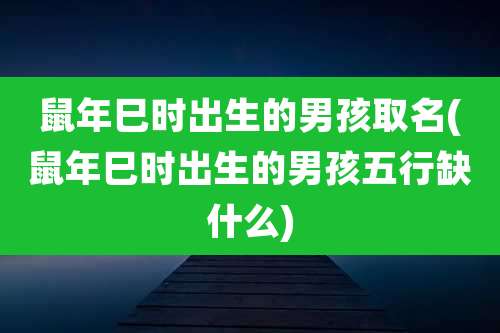 鼠年巳时出生的男孩取名(鼠年巳时出生的男孩五行缺什么)