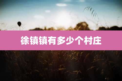 徐镇镇有多少个村庄