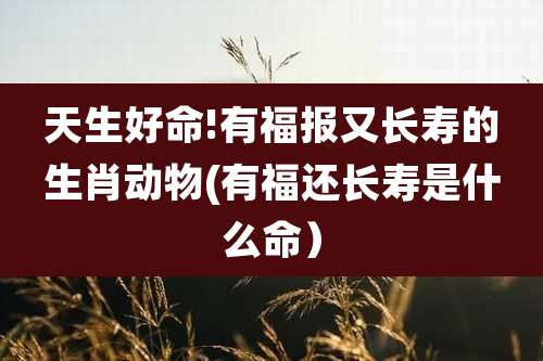 天生好命!有福报又长寿的生肖动物(有福还长寿是什么命)