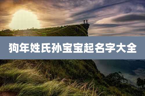 狗年姓氏孙宝宝起名字大全